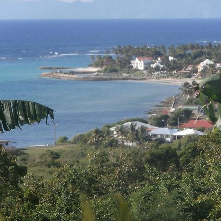 Villa Alizea Capesterre Exterior foto
